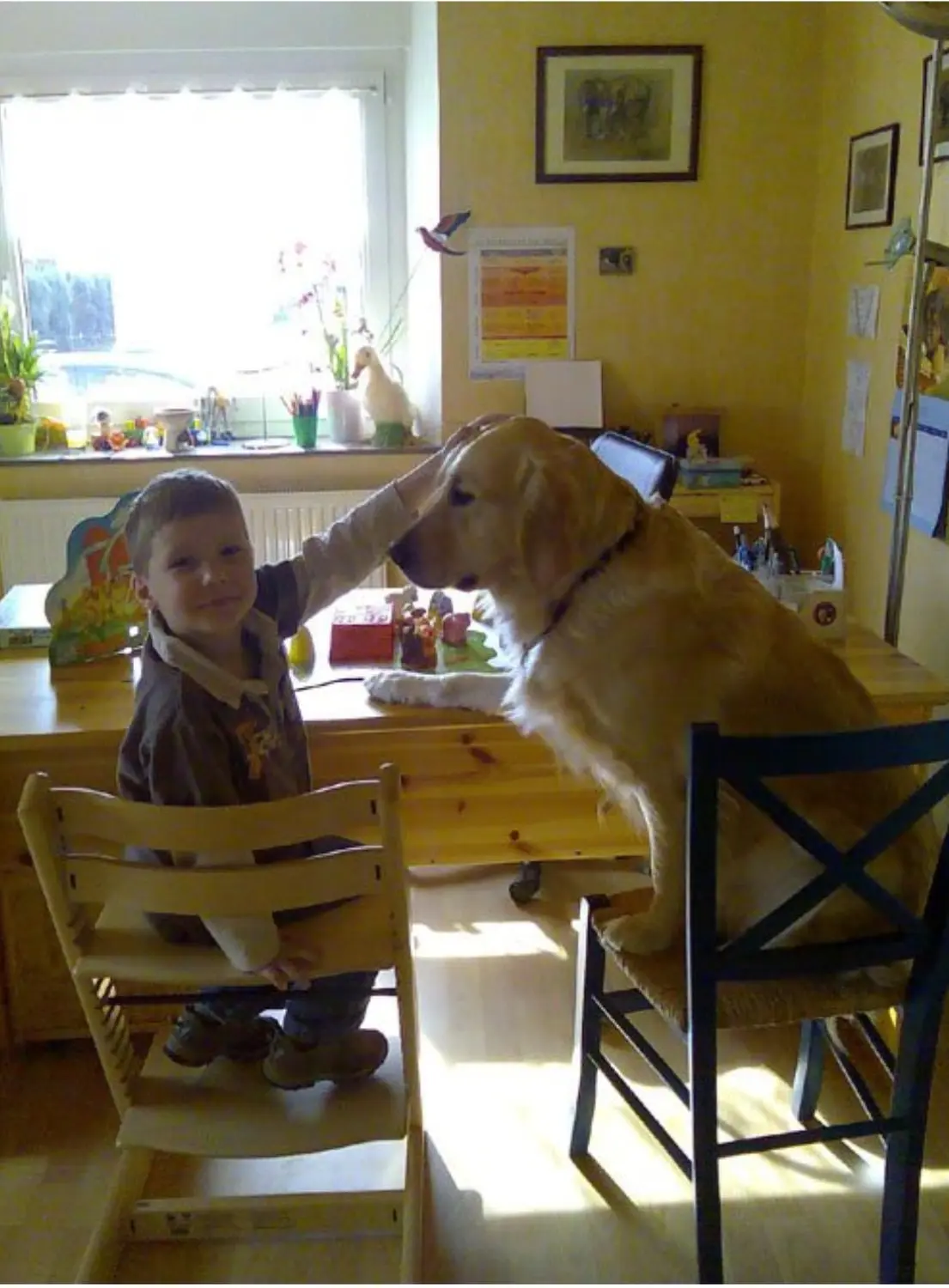 Kind und Hund von Praxis für Logopädie Marina Unger